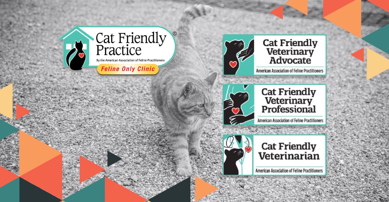 Programa Cat Friendly Practice® y Cat Friendly Certificate
