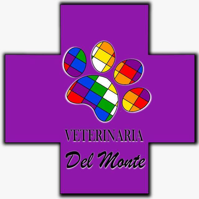 Maira Lezcano Maira Lezcano