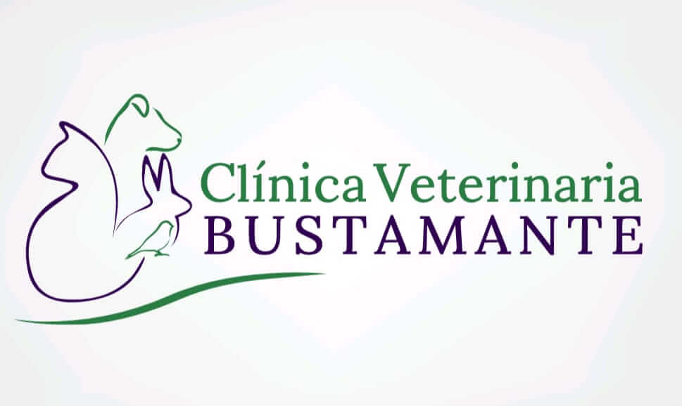 Nora Casir Nora Casir