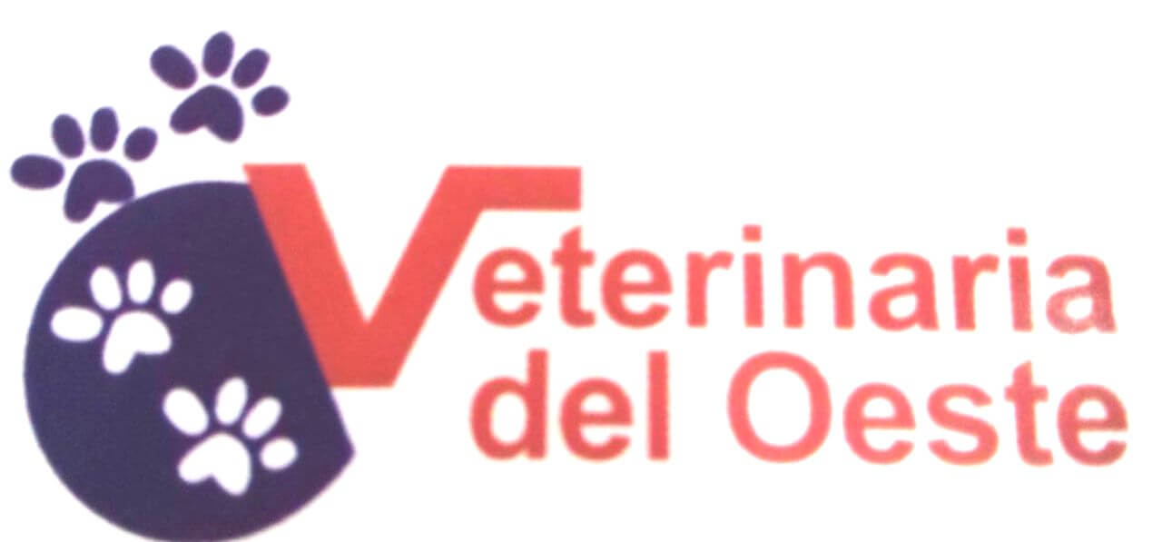 José Octavio Estevez