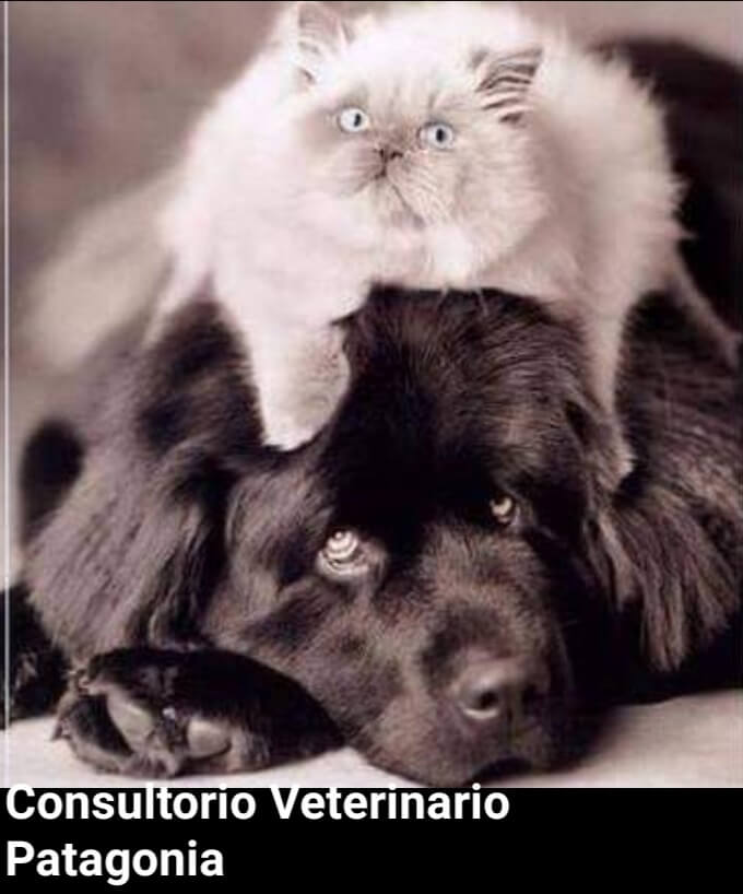 María Rita Mariano María Rita Mariano