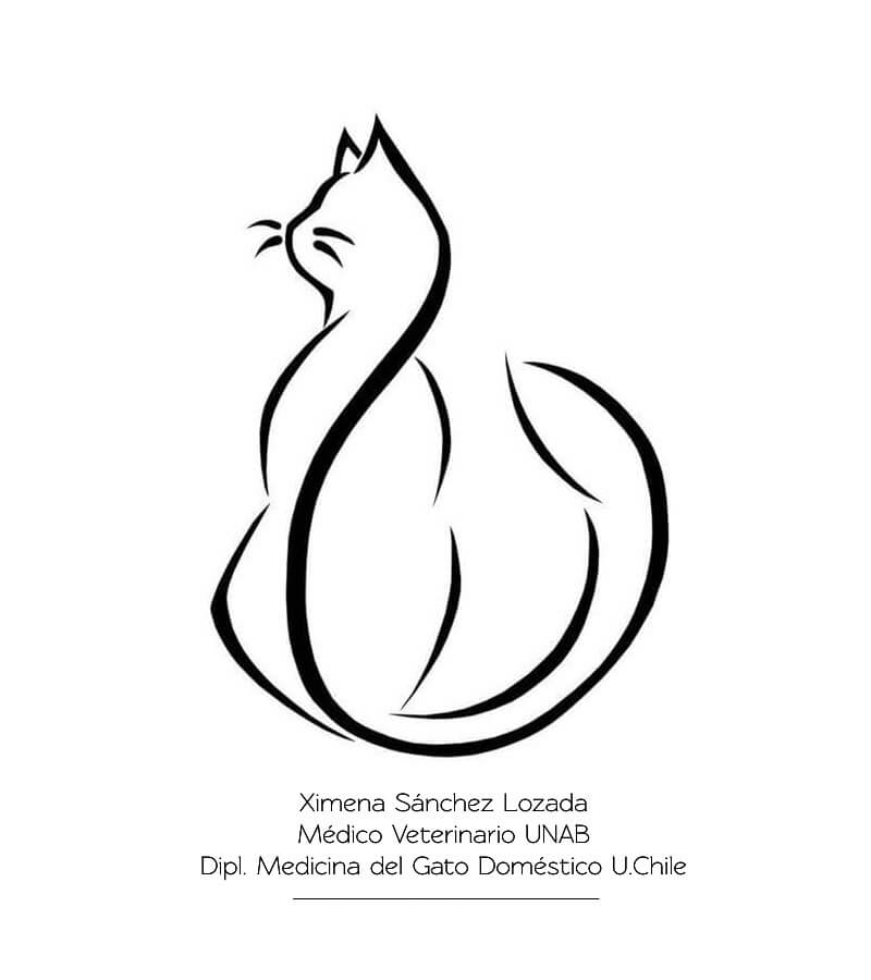 Ximena Sánchez Lozada