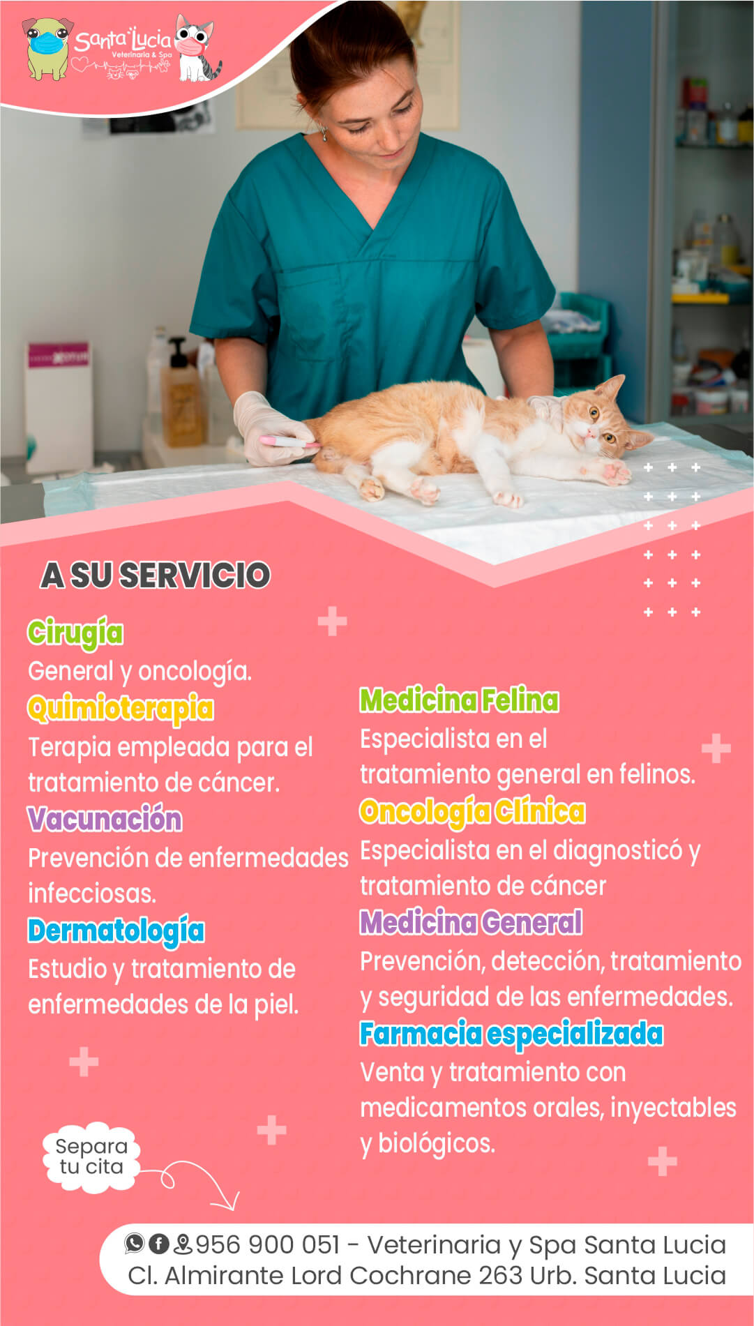 Laura Angelica Villanes Arroyi Laura Angelica Villanes Arroyi