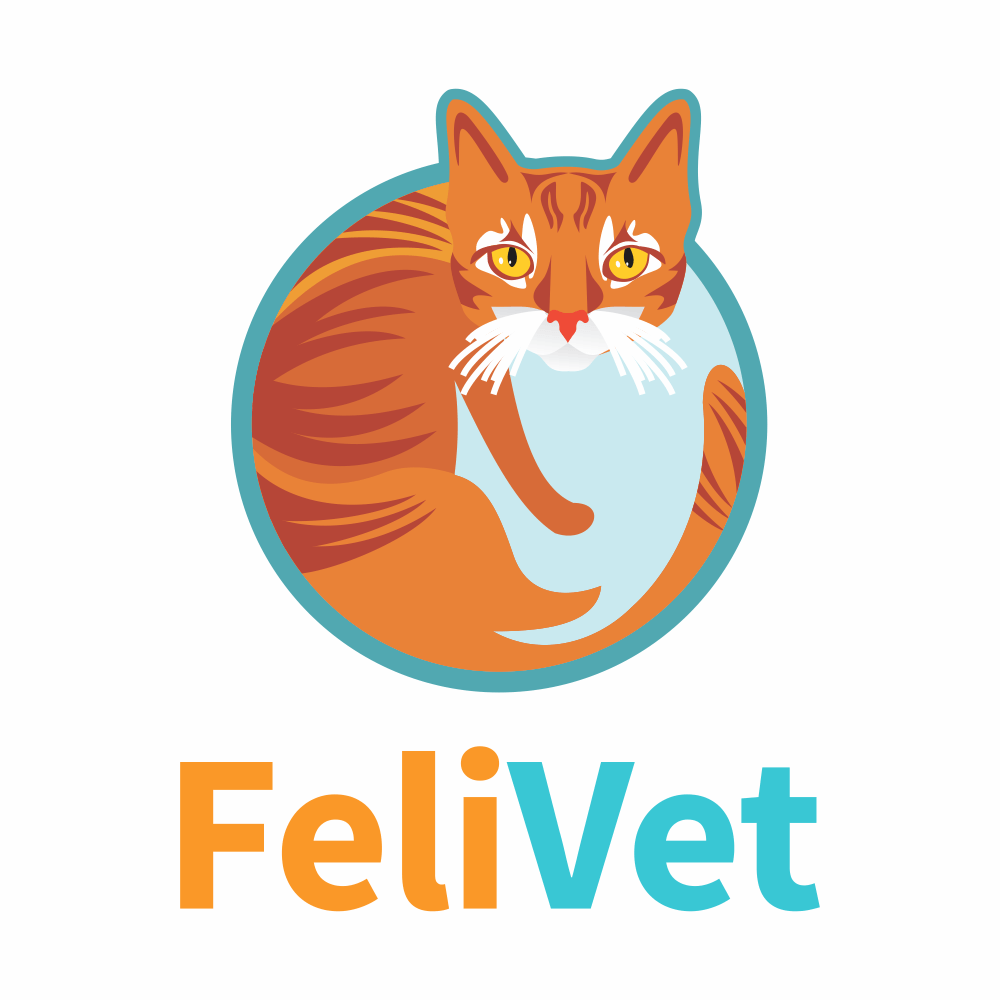 Yesica Elizabeth Baigorria