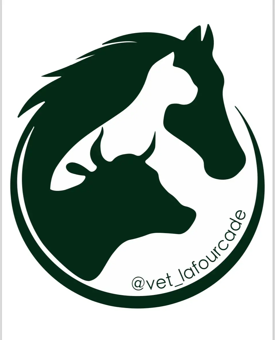 Sol Lafourcade Barth