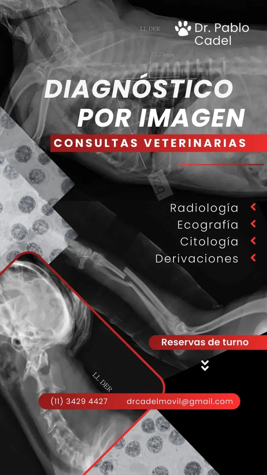 Pablo Osvaldo Cadel Pablo Osvaldo Cadel