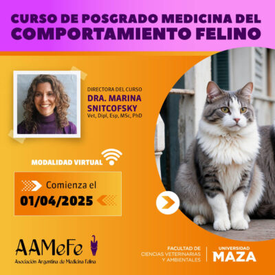 Posgrado De Medicina Del Comportamiento Felino
