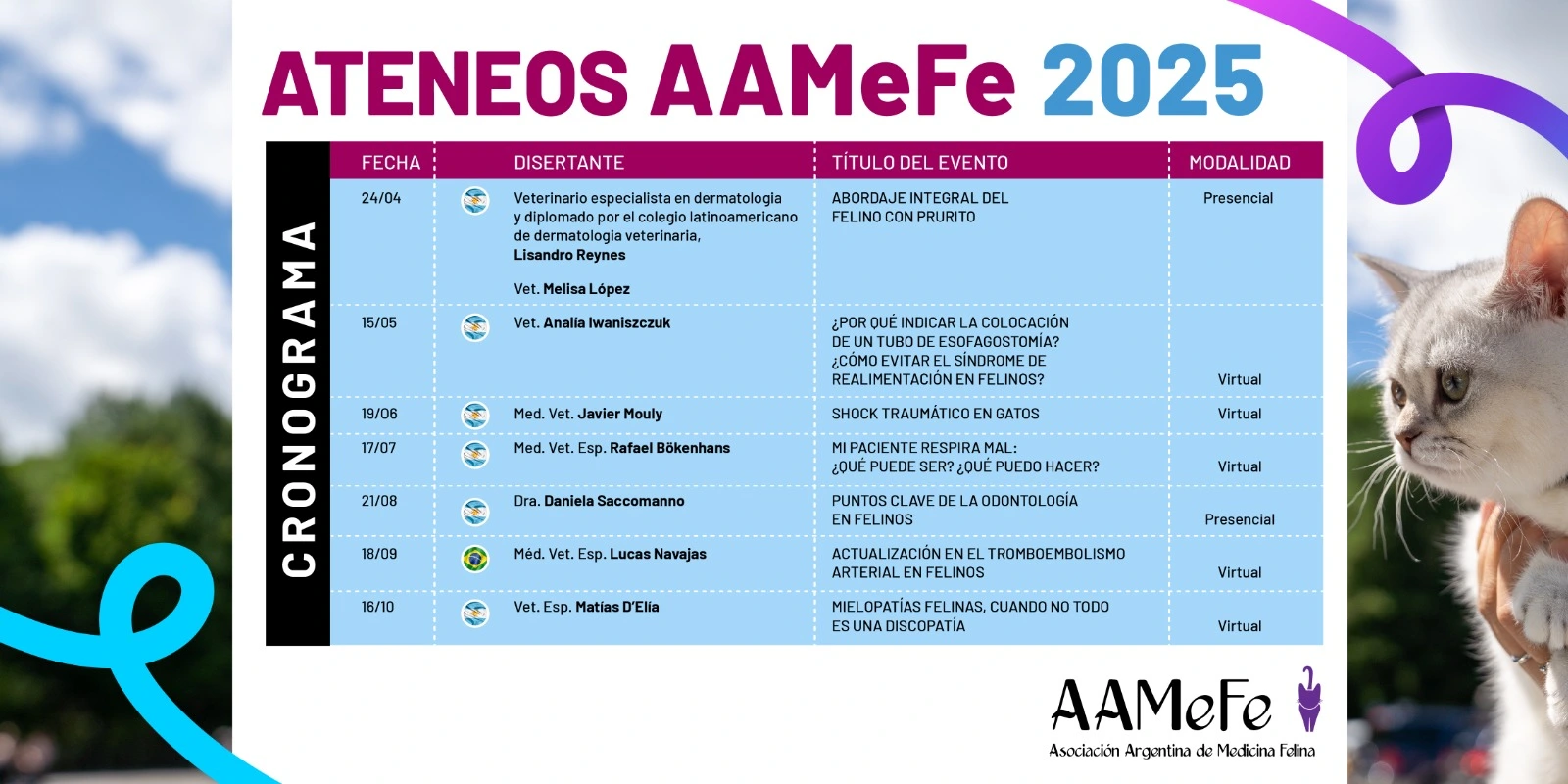 Calendario de Ateneos AAMeFe 2025