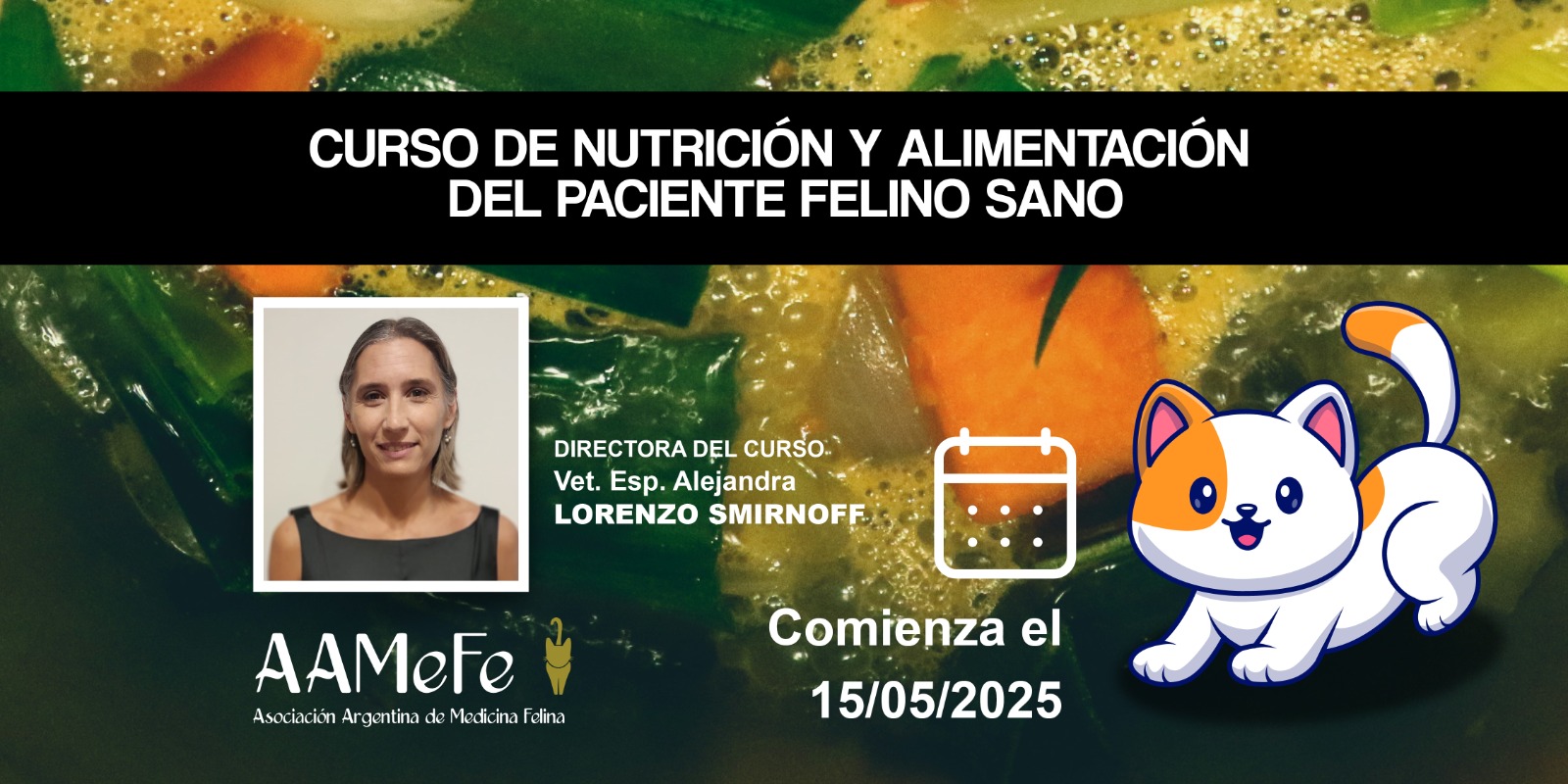 Curso de Nutrición y Alimentación del Paciente Felino Sano