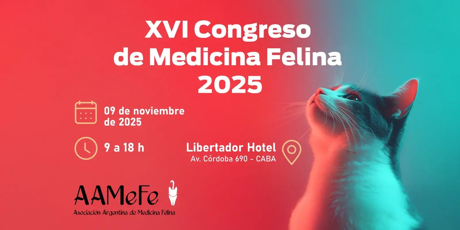 XVI Congreso de Medicina Felina AAMeFe 2025