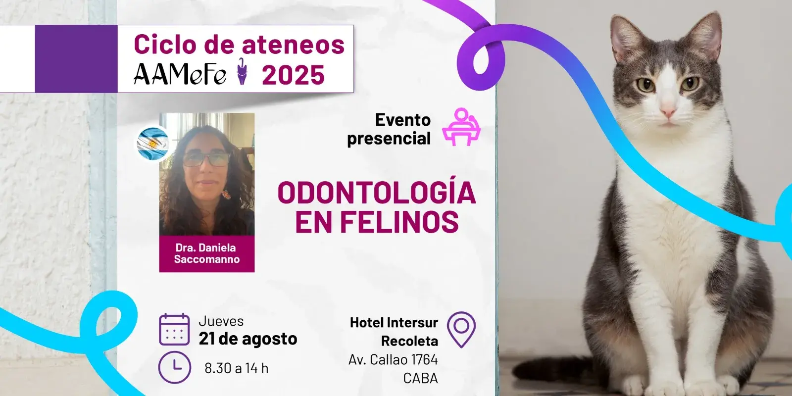 Odontología en Felinos
