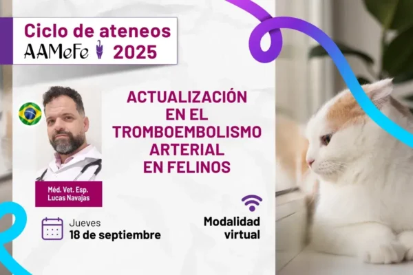 Imagen de WhatsApp 2025-07-21 a las 12.40.07_c3bd7bfc