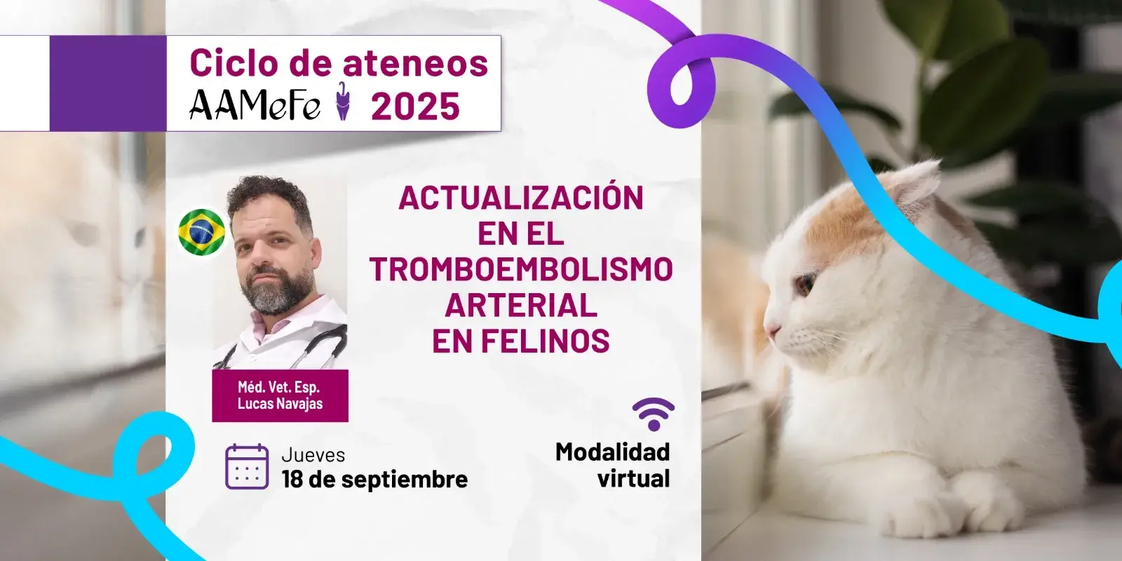 Actualización en Tromboembolismo Arterial En Felinos