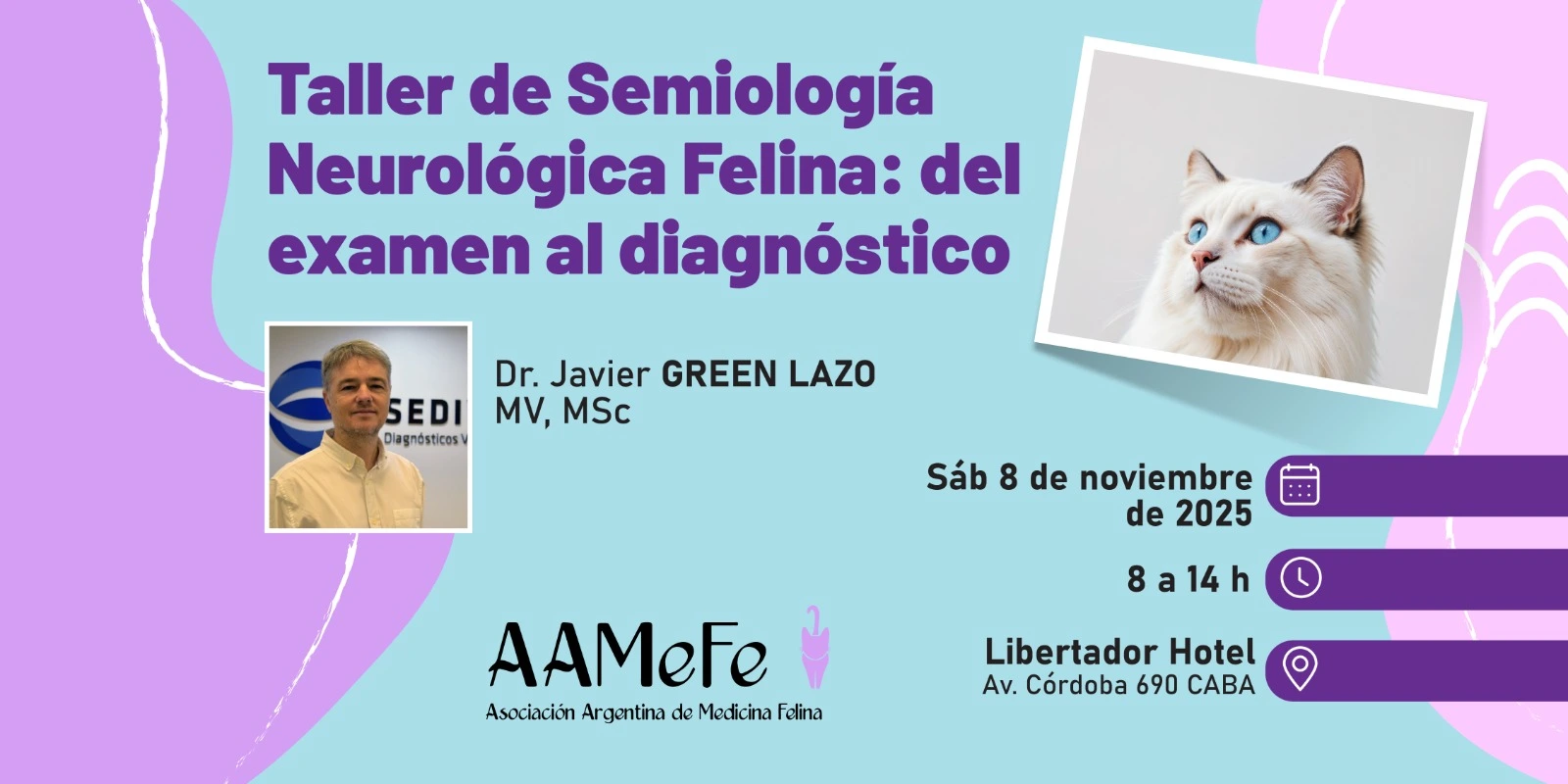 Taller Pre-Congreso AAMeFe 2025