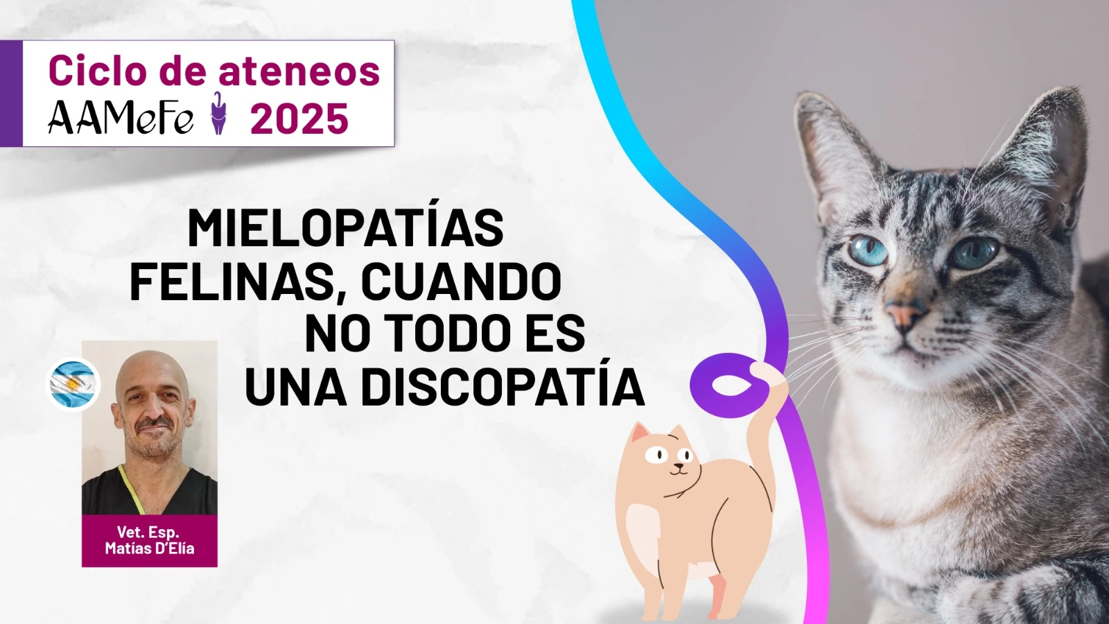MIELOPATIAS FELINAS: CUANDO NO TODO ES UNA DISCOPATIA