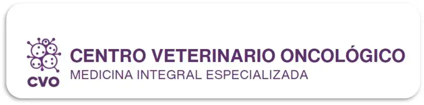 Esteban Andres Liguori