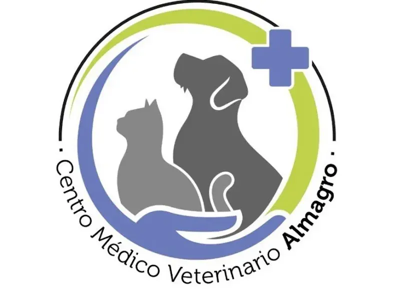 Thomas Leitner Thomas Leitner