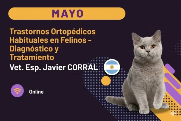 miniatura del curso