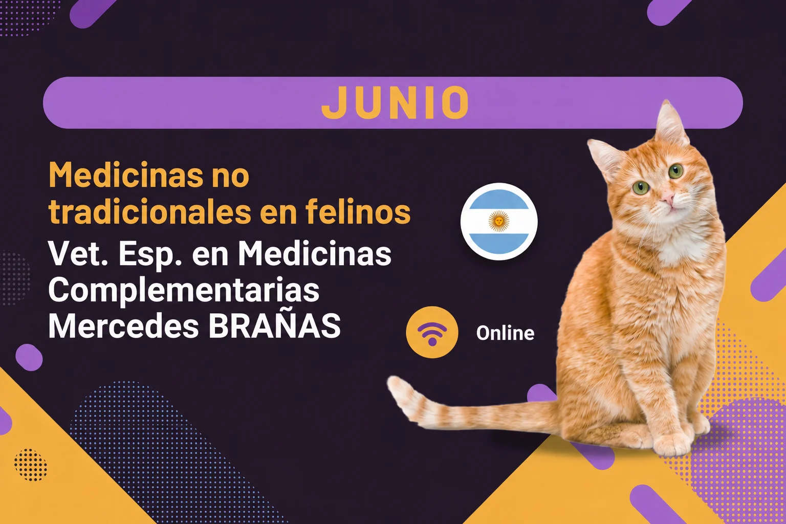 Portada Medicinas no tradicionales en Felinos