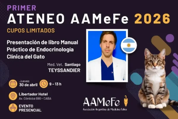 miniatura del curso