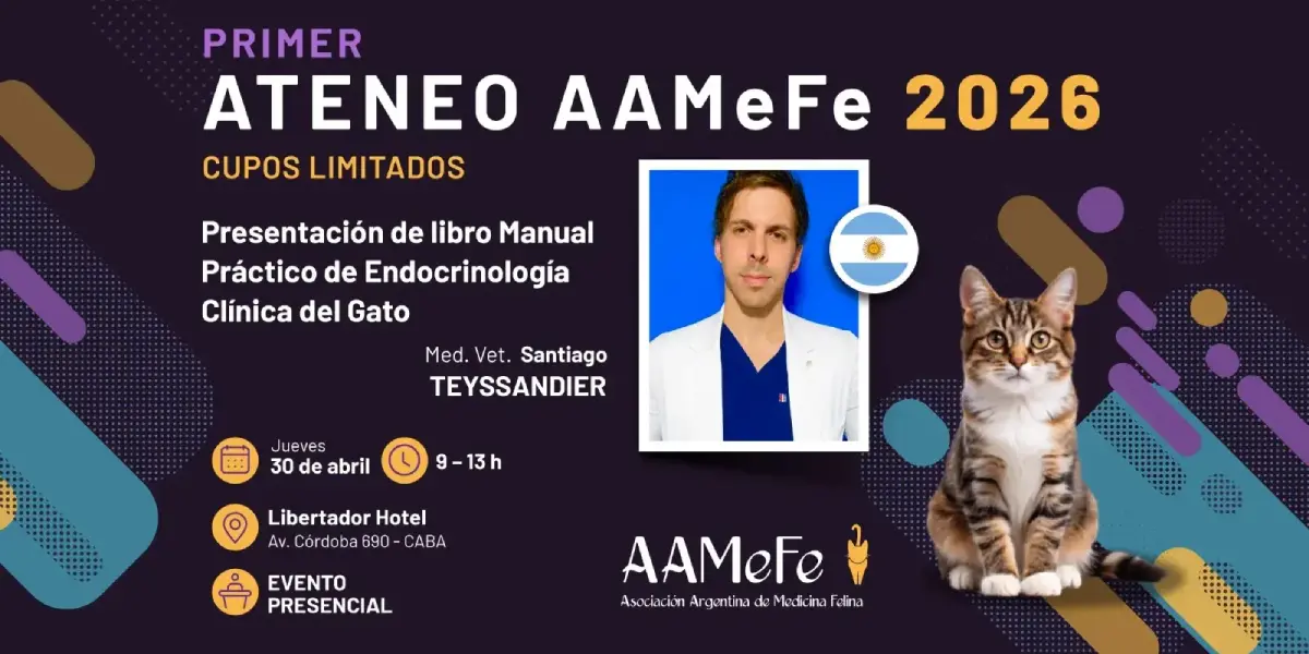 Portada Primer Ateneo AAMeFe 2026