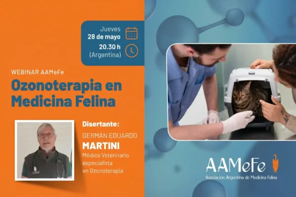miniatura del curso