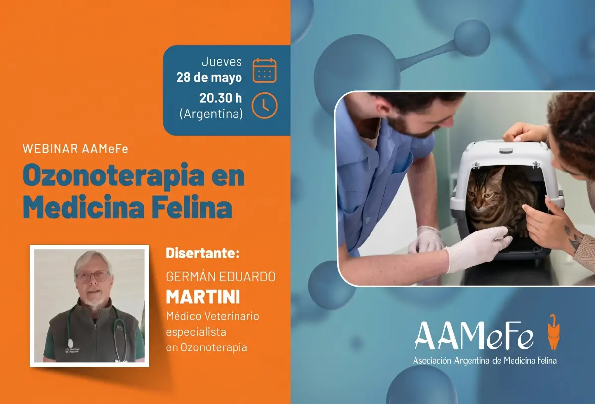 Ozonoterapia en Medicina Felina (1)