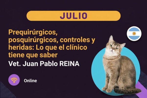 miniatura del curso