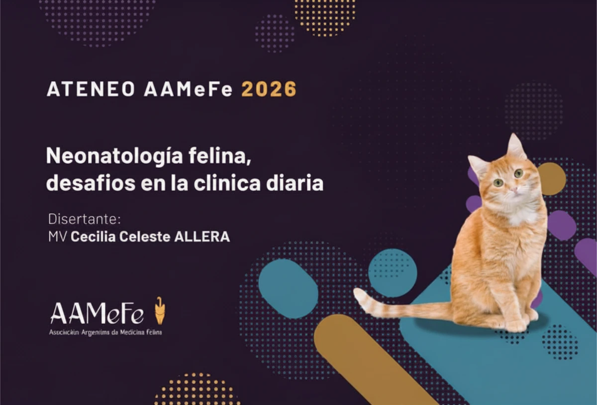 Neonatología felina, desafios en la clínica diaria