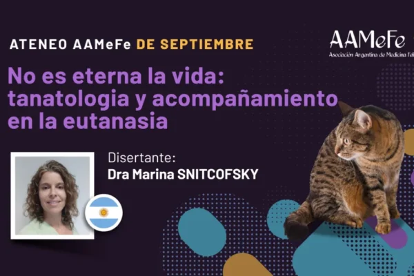 miniatura del curso