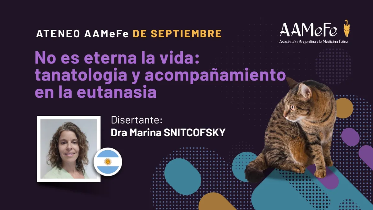 Tanatología y acompañamiento en la eutanasia