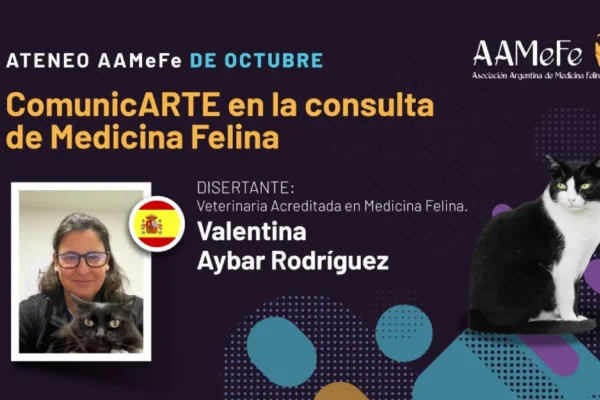 miniatura del curso