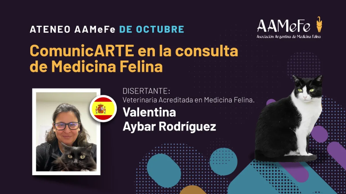 portada ComunicARTE en la consulta de Medicina Felina